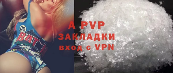 индика Козловка
