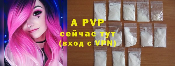 PSILOCYBIN Козельск