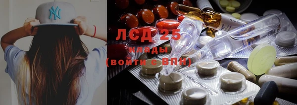 индика Козловка