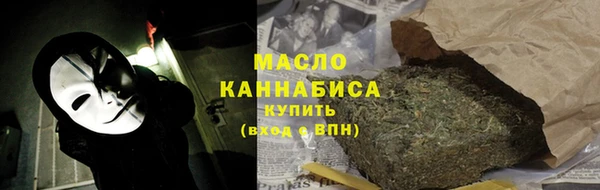 индика Козловка