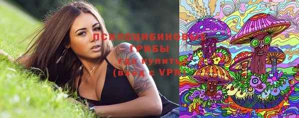 индика Козловка