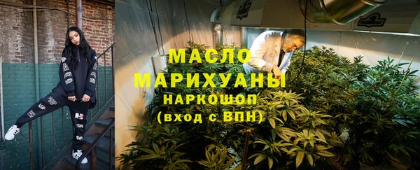 индика Козловка
