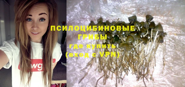 индика Козловка