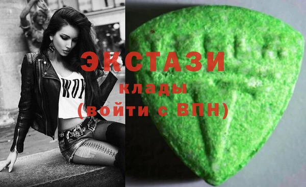 индика Козловка