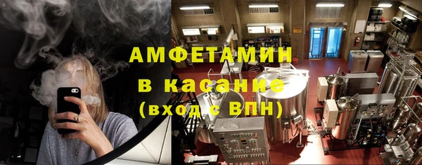 индика Козловка