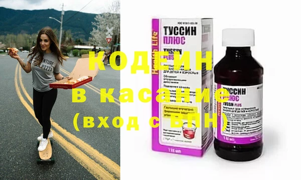 индика Козловка