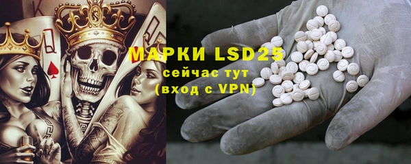 PSILOCYBIN Козельск