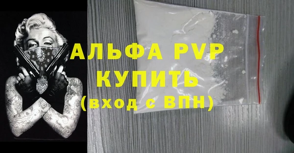 индика Козловка