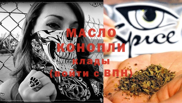 индика Козловка