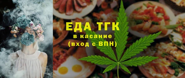 индика Козловка