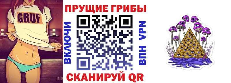 Купить где  Заполярный  Псилоцибиновые грибы мицелий 