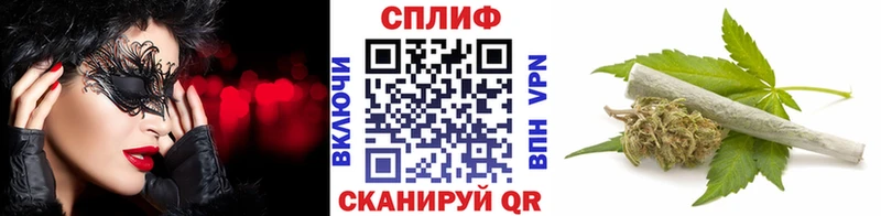 Бошки Шишки гибрид  Купить где  Заполярный 